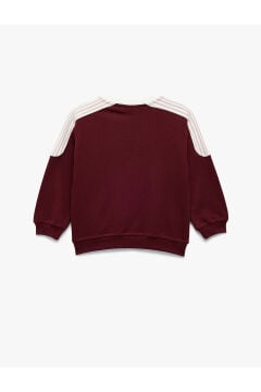 Koton Kız Bebek Şardonlu Pamuklu Uzun Kollu Renk Kontrastlı V Yaka Baskılı Sweatshirt
